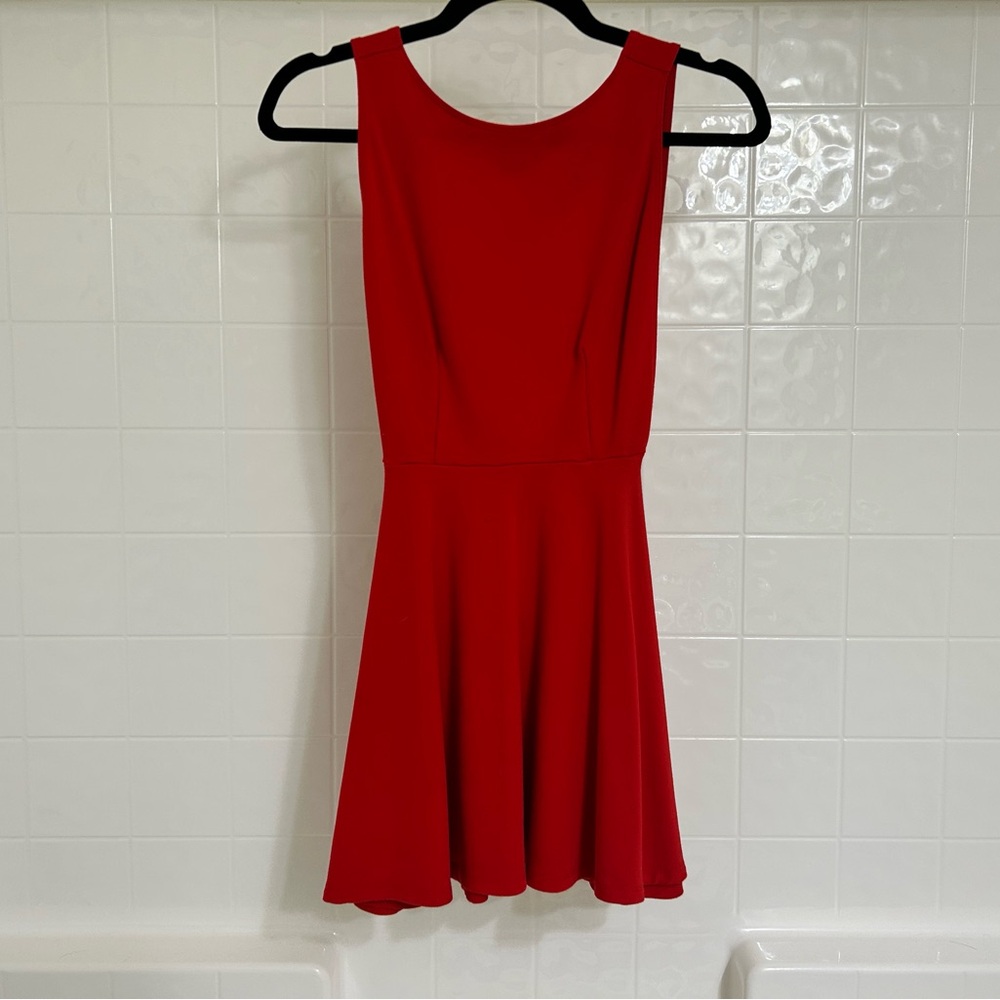 American Apparel Skater Dress